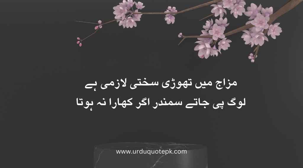 Top 20 Urdu Poetry in 2 Lines/Best poetry in urdu 4 A flower image with urdu poetry in 2 lines and urdu sahyri.