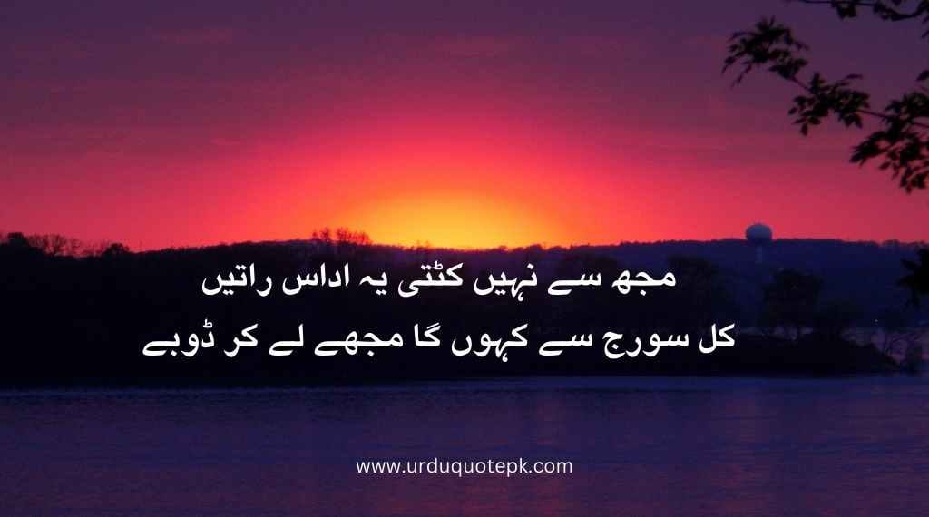 Top 20 Urdu Poetry in 2 Lines/Best poetry in urdu 7 A flower image with urdu poetry in 2 lines for sadness