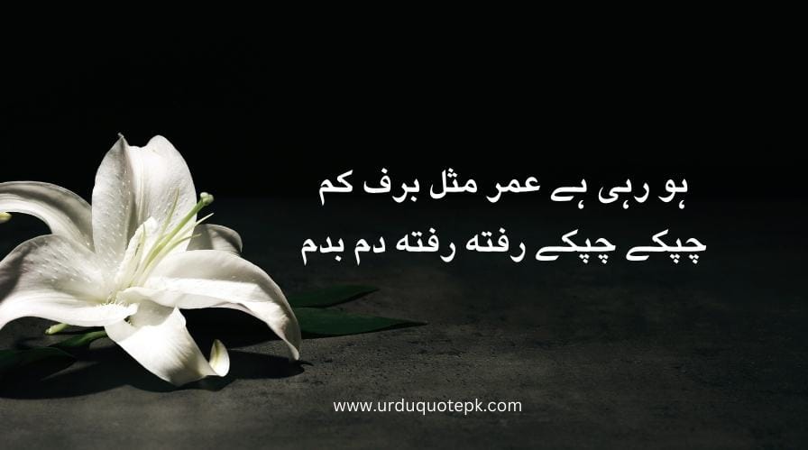 Top 20 Urdu Poetry in 2 Lines/Best poetry in urdu 13 A flower image with urdu poetry in 2 lines.