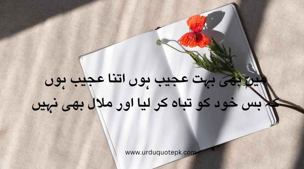 Top 20 Urdu Poetry in 2 Lines/Best poetry in urdu 18 A book image with urdu poetry in 2 lines.