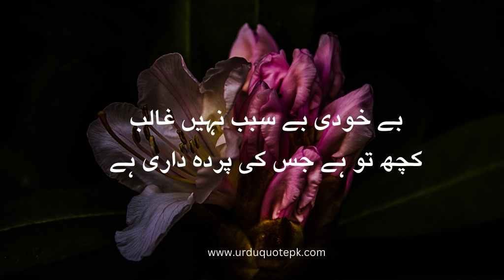Top 20 Urdu Poetry in 2 Lines/Best poetry in urdu 15 A flower image with poetry in urdu.